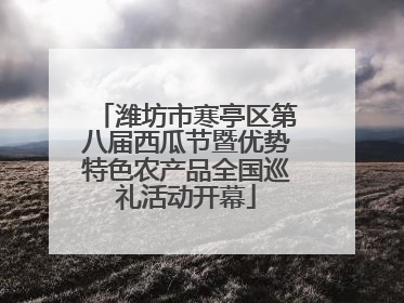 潍坊市寒亭区第八届西瓜节暨优势特色农产品全国巡礼活动开幕