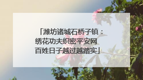潍坊诸城石桥子镇：绣花功夫织密平安网 百姓日子越过越踏实