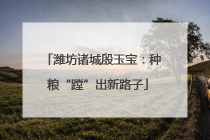 潍坊诸城殷玉宝：种粮“蹚”出新路子
