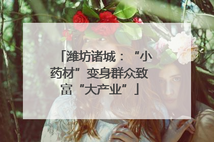 潍坊诸城：“小药材”变身群众致富“大产业”