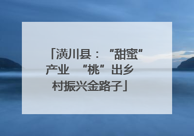 潢川县：“甜蜜”产业  “桃”出乡村振兴金路子