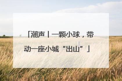 潮声丨一颗小球，带动一座小城“出山”