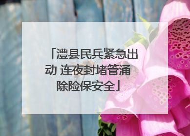 澧县民兵紧急出动 连夜封堵管涌除险保安全