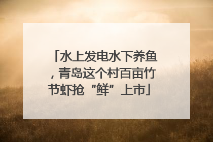 水上发电水下养鱼，青岛这个村百亩竹节虾抢“鲜”上市