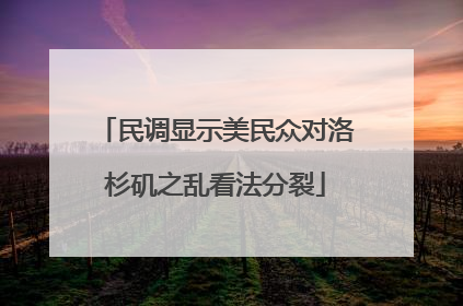 民调显示美民众对洛杉矶之乱看法分裂