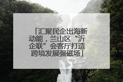 汇聚民企出海新动能，兰山区“沂企联”会客厅打造跨境发展强磁场