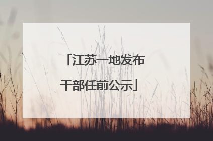 江苏一地发布干部任前公示