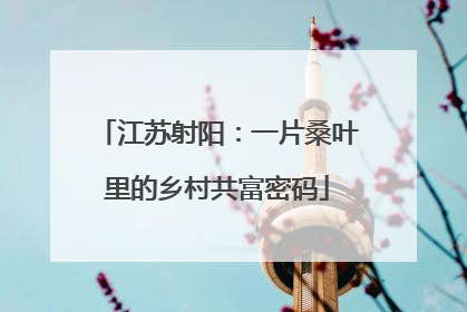 江苏射阳：一片桑叶里的乡村共富密码