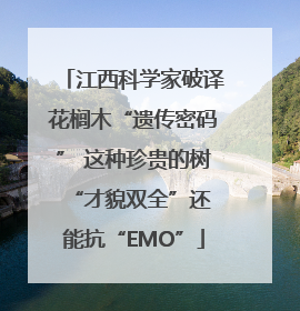江西科学家破译花榈木“遗传密码” 这种珍贵的树 “才貌双全”还能抗“EMO”