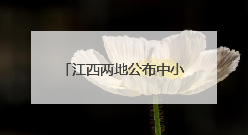 江西两地公布中小学暑假放假安排！