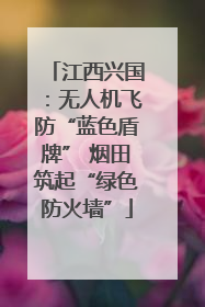 江西兴国：无人机飞防“蓝色盾牌” 烟田筑起“绿色防火墙”