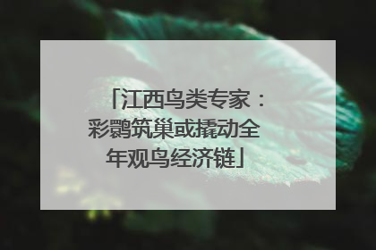 江西鸟类专家：彩鹮筑巢或撬动全年观鸟经济链