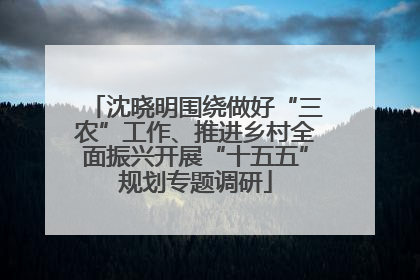 沈晓明围绕做好“三农”工作、推进乡村全面振兴开展“十五五”规划专题调研