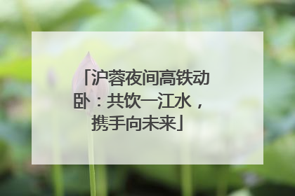 沪蓉夜间高铁动卧：共饮一江水，携手向未来