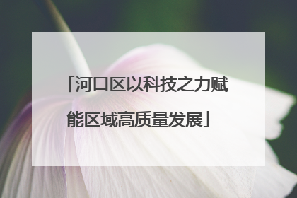 河口区以科技之力赋能区域高质量发展