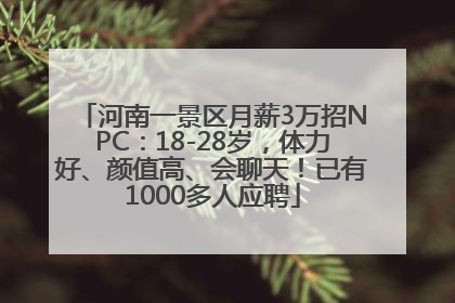河南一景区月薪3万招NPC：18-28岁，体力好、颜值高、会聊天！已有1000多人应聘