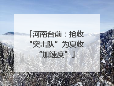 河南台前：抢收“突击队”为夏收“加速度”