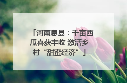 河南息县：千亩西瓜喜获丰收 激活乡村“甜蜜经济”