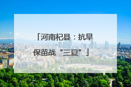 河南杞县：抗旱保苗战“三夏”