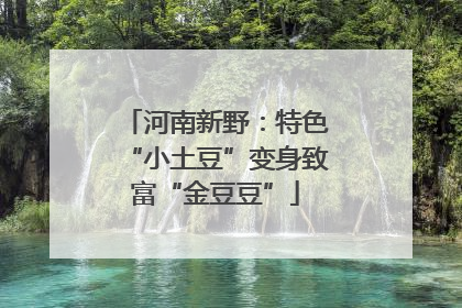 河南新野：特色“小土豆”变身致富“金豆豆”