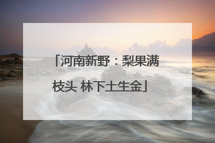 河南新野：梨果满枝头 林下土生金