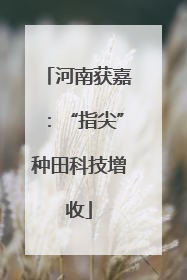 河南获嘉：“指尖”种田科技增收