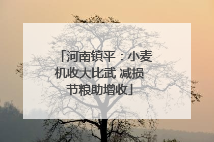 河南镇平：小麦机收大比武 减损节粮助增收