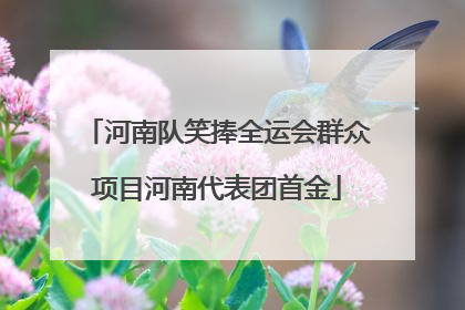 河南队笑捧全运会群众项目河南代表团首金