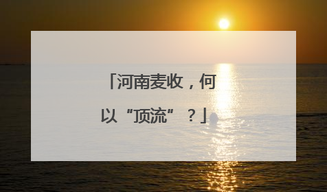 河南麦收，何以“顶流”？