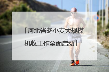 河北省冬小麦大规模机收工作全面启动