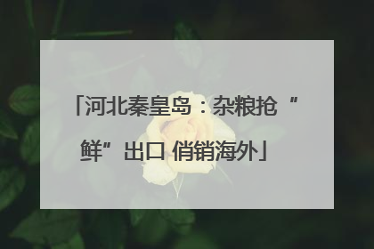 河北秦皇岛：杂粮抢“鲜”出口 俏销海外