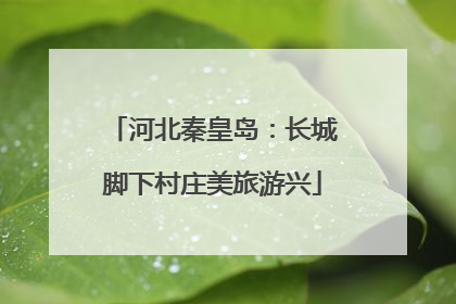 河北秦皇岛：长城脚下村庄美旅游兴