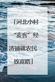 河北小村“麦客”经济铺就农民致富路