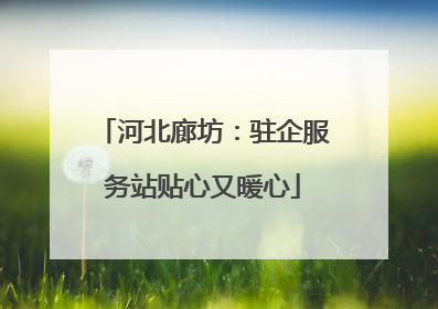 河北廊坊：驻企服务站贴心又暖心