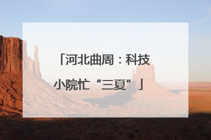 河北曲周：科技小院忙“三夏”