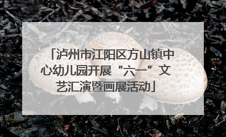 泸州市江阳区方山镇中心幼儿园开展“六一”文艺汇演暨画展活动