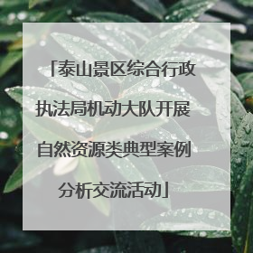 泰山景区综合行政执法局机动大队开展自然资源类典型案例分析交流活动