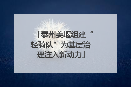 泰州姜堰组建“轻骑队”为基层治理注入新动力