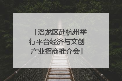 洛龙区赴杭州举行平台经济与文创产业招商推介会