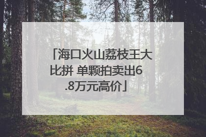 海口火山荔枝王大比拼 单颗拍卖出6.8万元高价