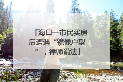 海口一市民买房后遭遇“镜像户型”，律师说法