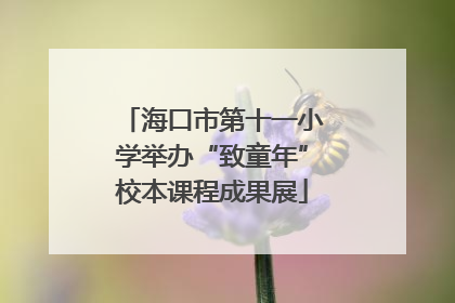 海口市第十一小学举办“致童年”校本课程成果展