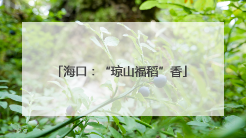 海口：“琼山福稻”香