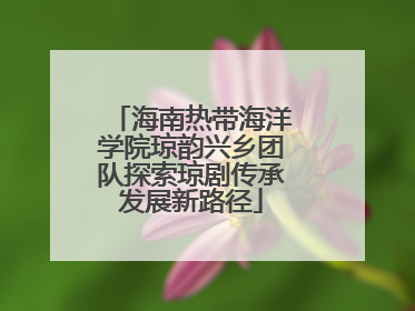 海南热带海洋学院琼韵兴乡团队探索琼剧传承发展新路径