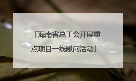 海南省总工会开展重点项目一线慰问活动