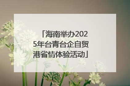 海南举办2025年台青台企自贸港省情体验活动