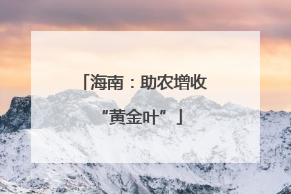 海南：助农增收 “黄金叶”