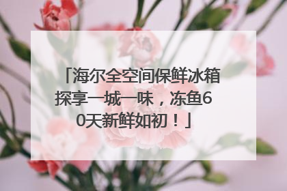 海尔全空间保鲜冰箱探享一城一味，冻鱼60天新鲜如初！