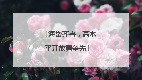 海岱齐鲁，高水平开放勇争先