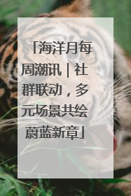 海洋月每周潮讯｜社群联动，多元场景共绘蔚蓝新章